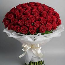 Букет 101 Красная роза Блэк Мэджик в Правдинске Нижегородской области