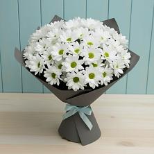 Букет цветов из:  Хризантемы в Правдинске Нижегородской области