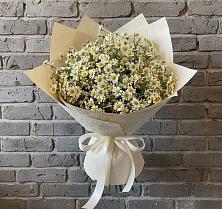 Букет цветов из:  Ромашки в Правдинске Нижегородской области