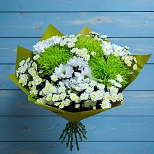 Букет цветов из:  Хризантемы в Правдинске Нижегородской области