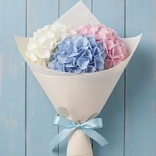 Букет цветов из:  Гортензия в Правдинске Нижегородской области