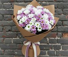 Букет цветов из:  Хризантемы в Правдинске Нижегородской области