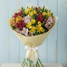 Букет цветов из:  Альстромерии #REPLACE_PRED# Правдинске Нижегородской области