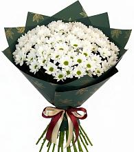 Букет цветов из:  Хризантемы в Правдинске Нижегородской области