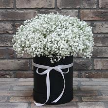 Цветочная композиция из Гипсофила в шляпной коробке в Правдинске Нижегородской области